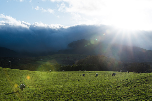 Sunrises and Sheep