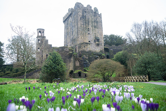 Blarney Grounds